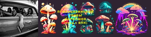 мет Приозерск