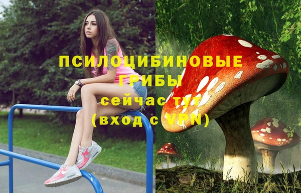 мдма Пролетарск