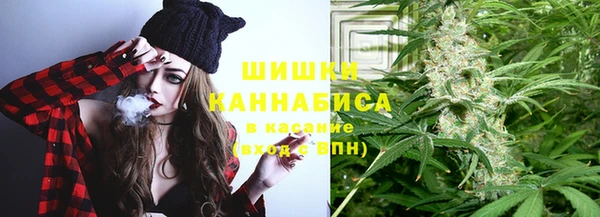 PSILOCYBIN Покачи