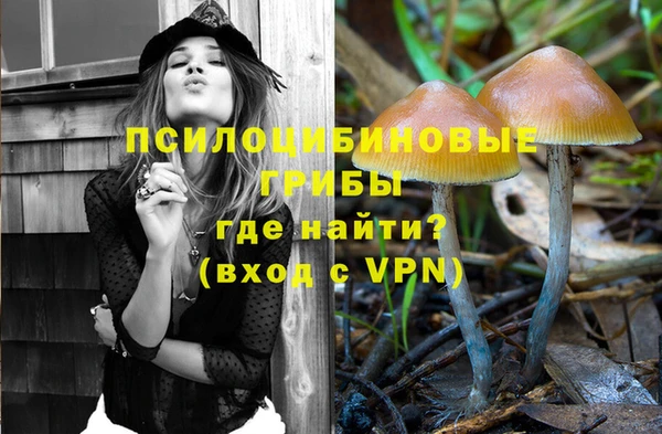 PSILOCYBIN Покачи