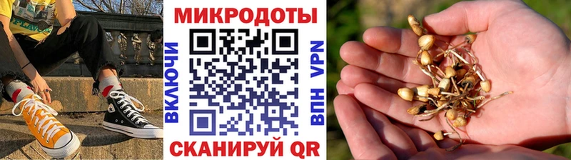 где найти наркотики  Ревда  Псилоцибиновые грибы Cubensis 