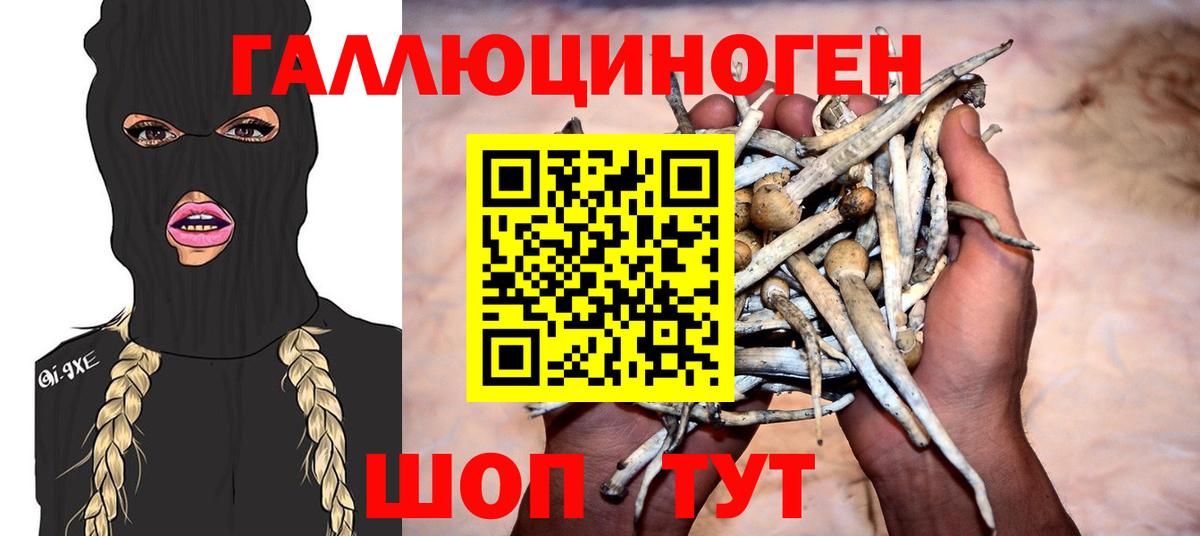 Псилоцибиновые грибы Magic Shrooms Ревда
